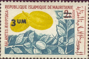 mauritanieum