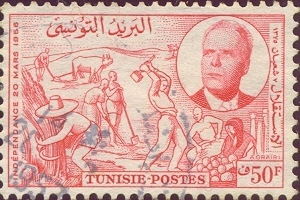 tunisief