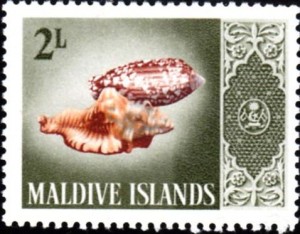 maldives940