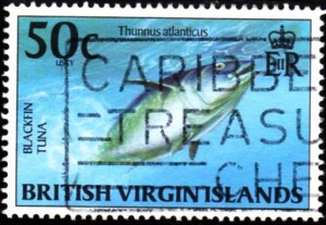 virgin islands934