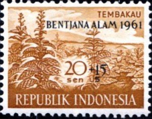 inondation indonésie 1961