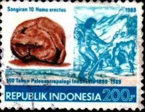 homo-erectus-indonesie330